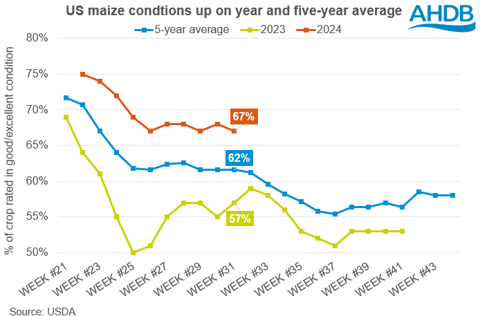 Line graph showing US maize crop condition scores August 24